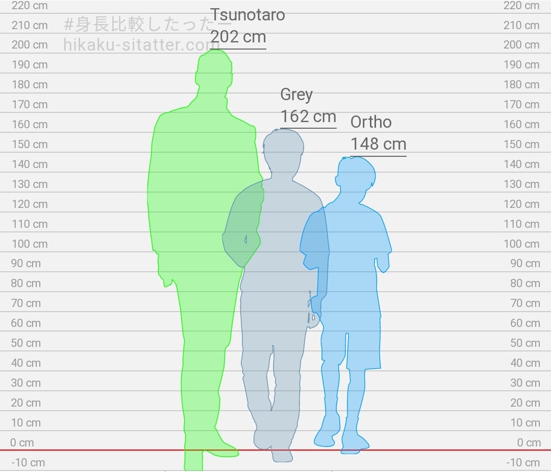 192cm in ft