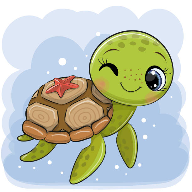 cute pictures of turtles