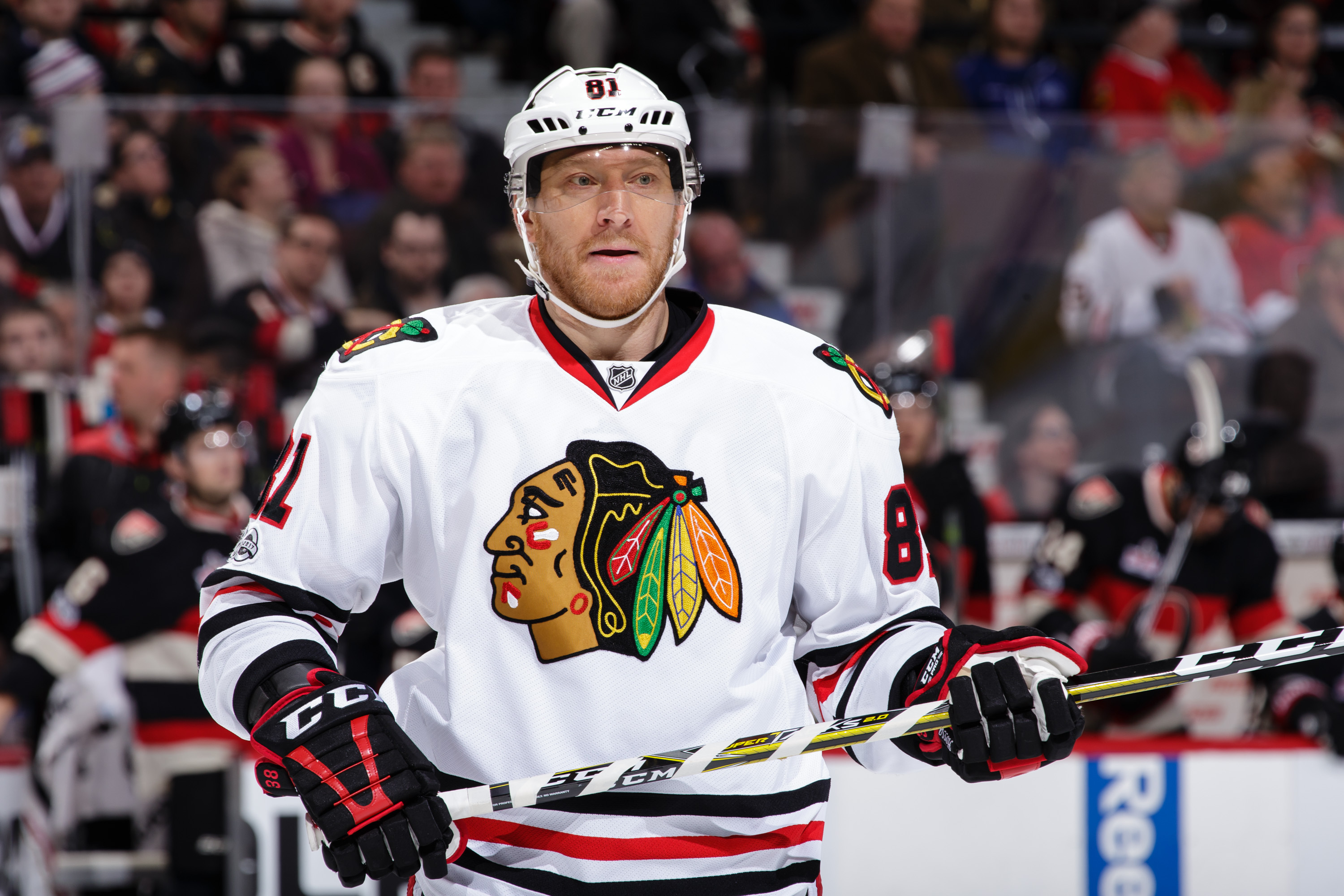 hossa nhl