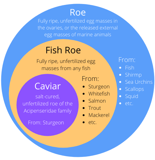 difference between roe and caviar