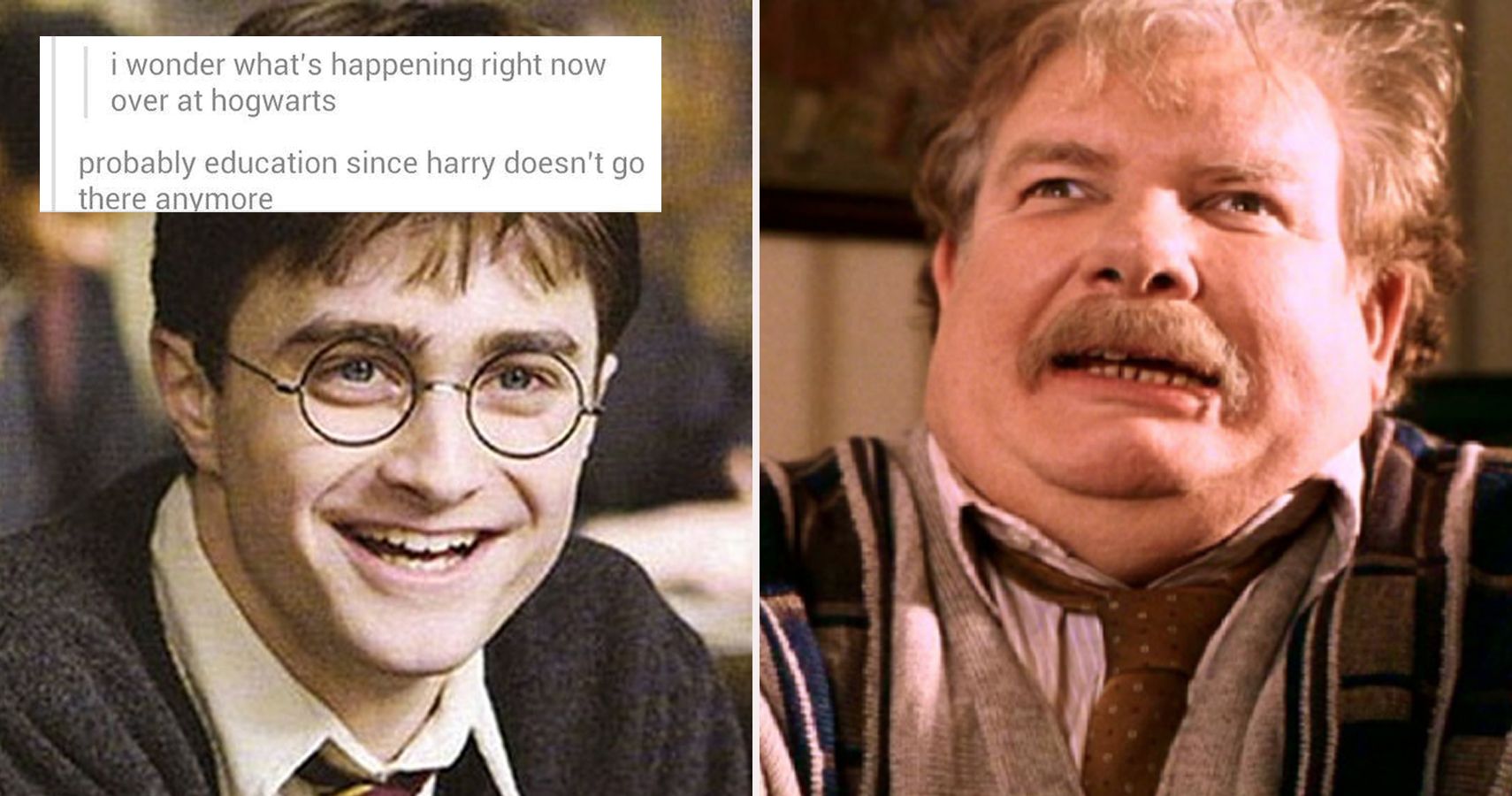 hilarious harry potter memes