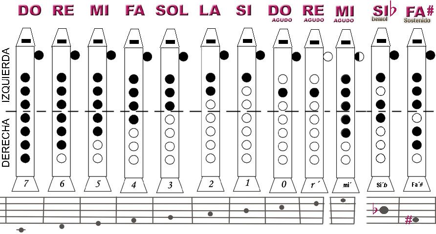 las notas en la flauta dulce