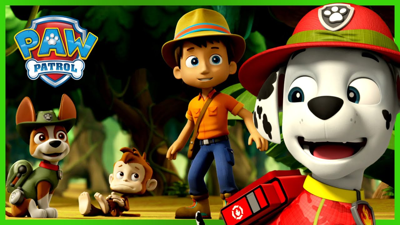 paw patrol cartoons