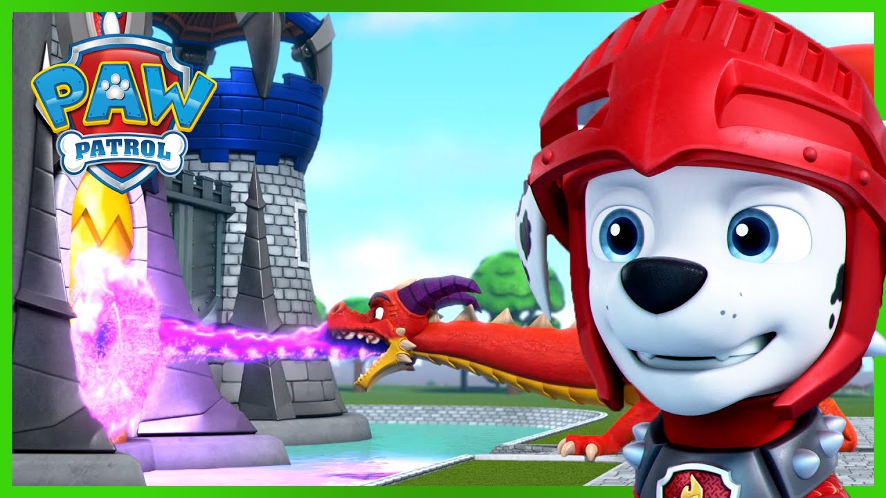 paw patrol the video