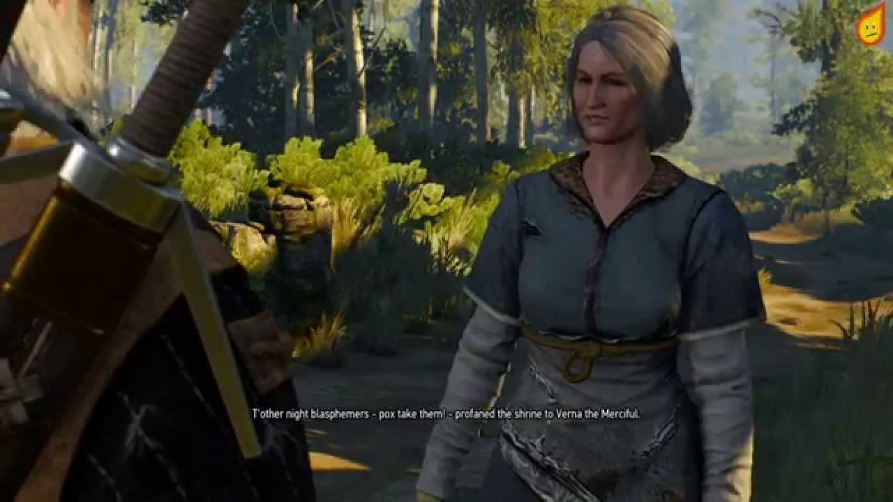 defender of the faith witcher 3