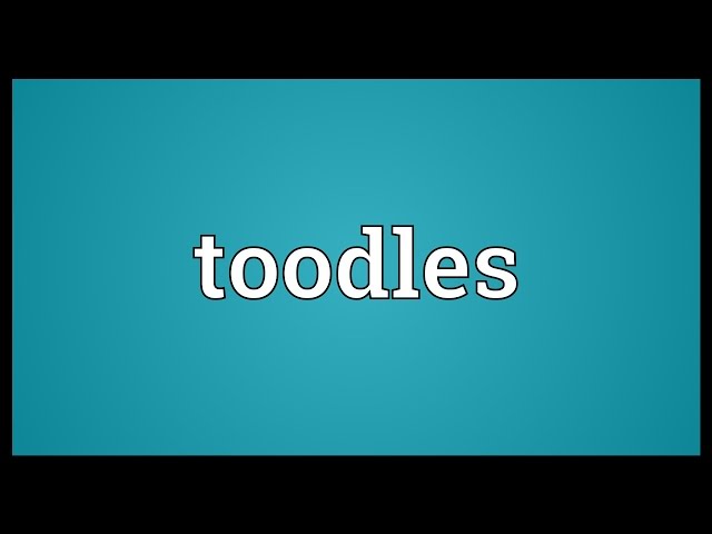 definition of toodles