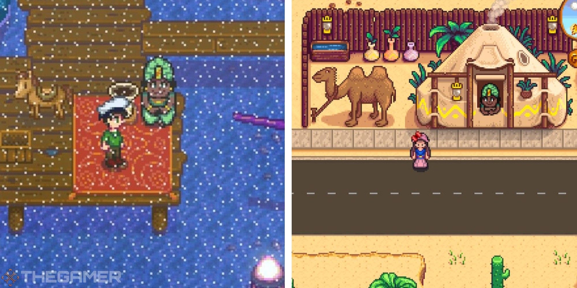 desert trader stardew