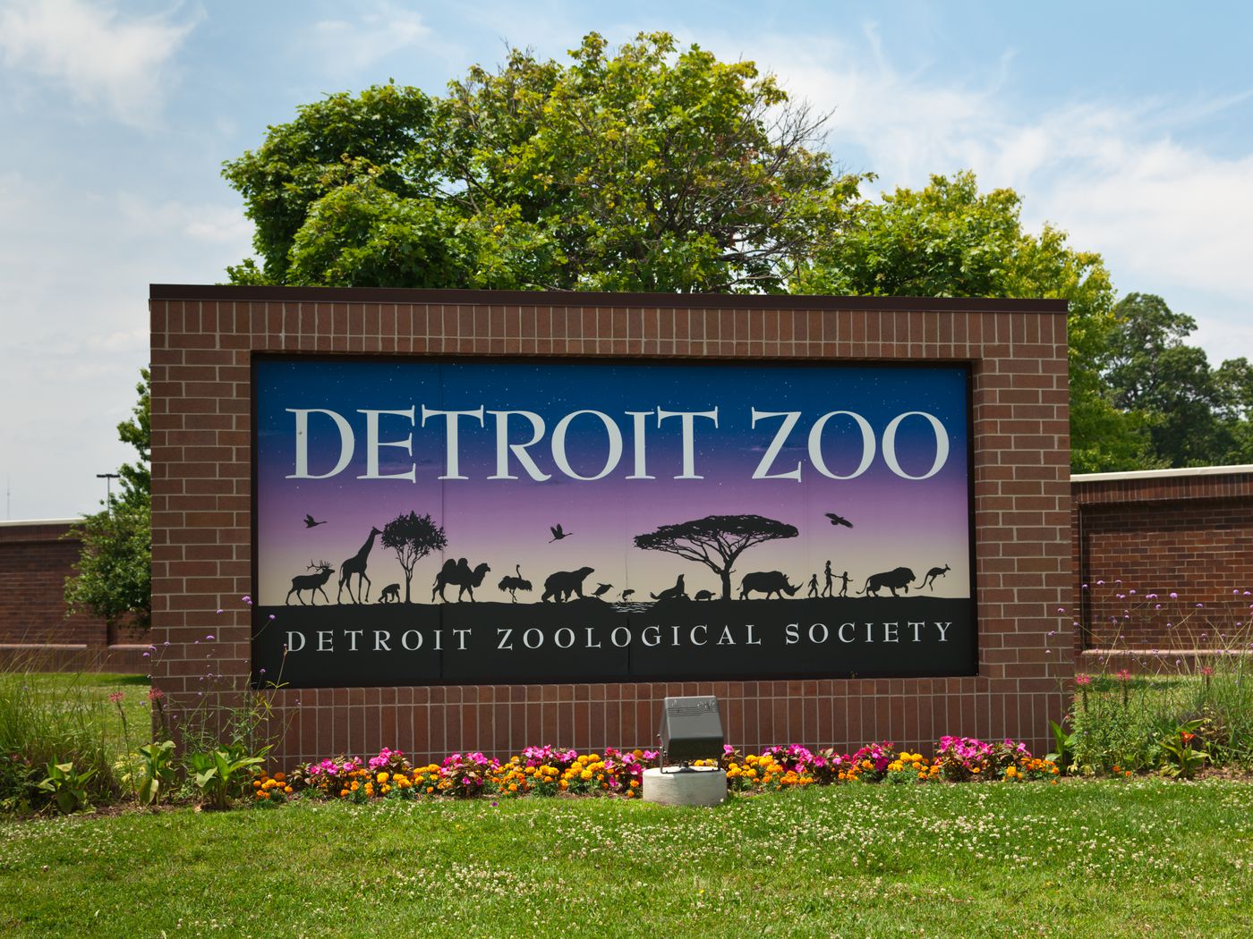 detroite zoo