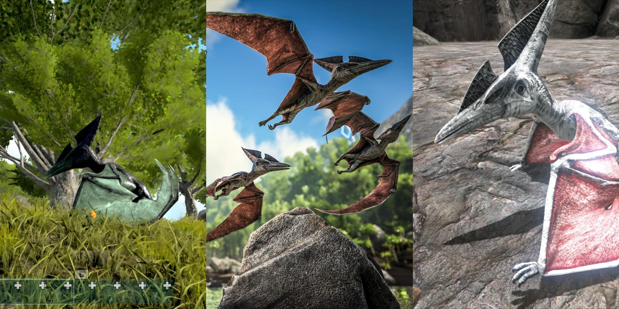 pteranodon ark