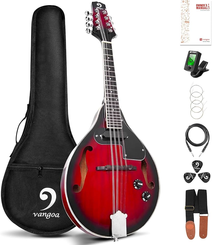 mandolin instrument amazon