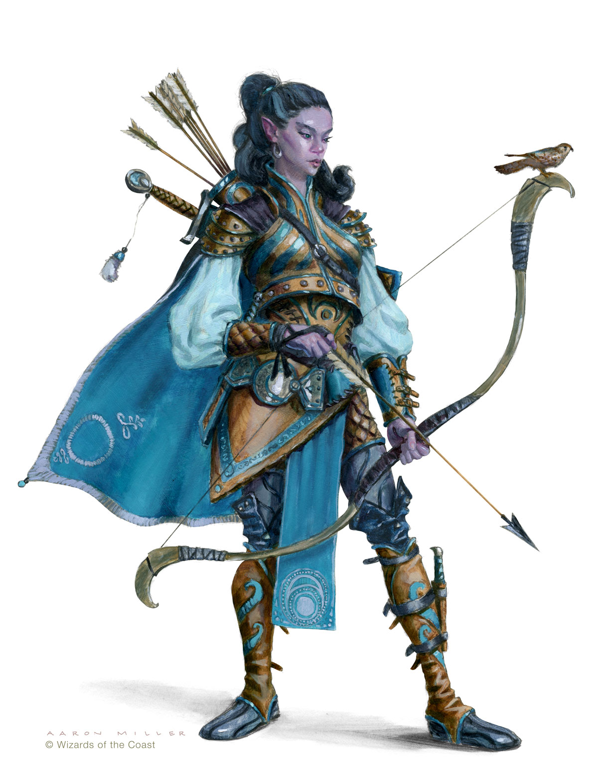 dnd 5e elf