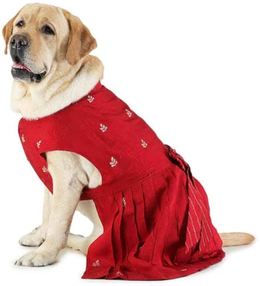 dog dress