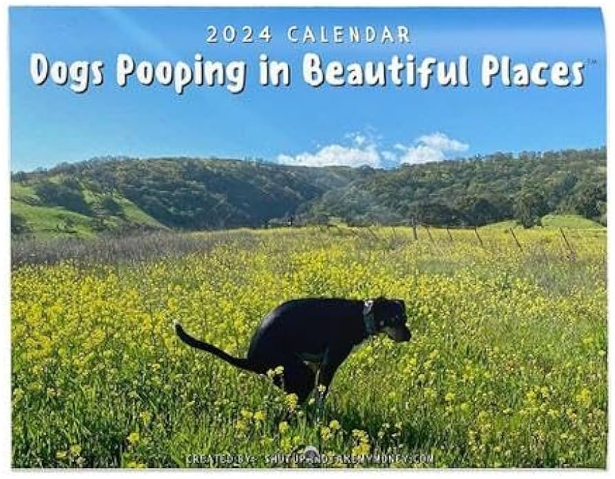 dog pooping calendar