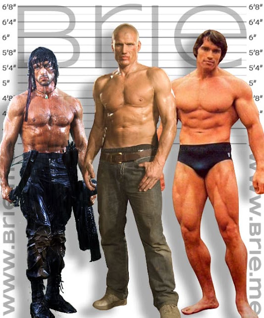 dolph lundgren height in feet