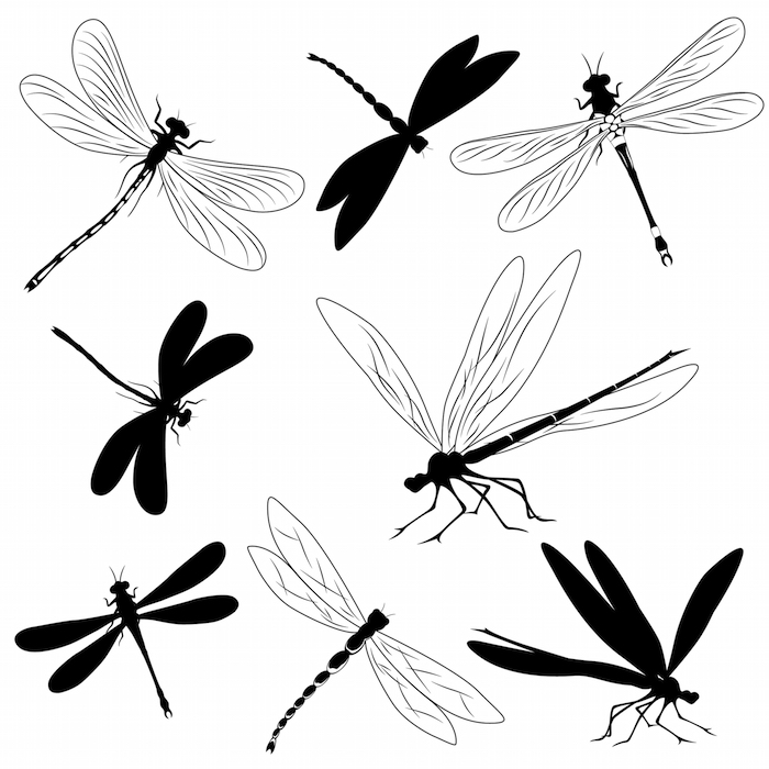 dragonfly tattoo meaning