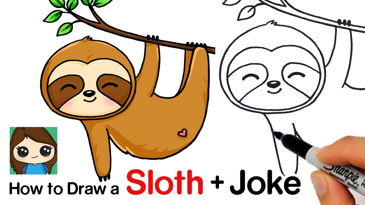 draw a sloth step by step