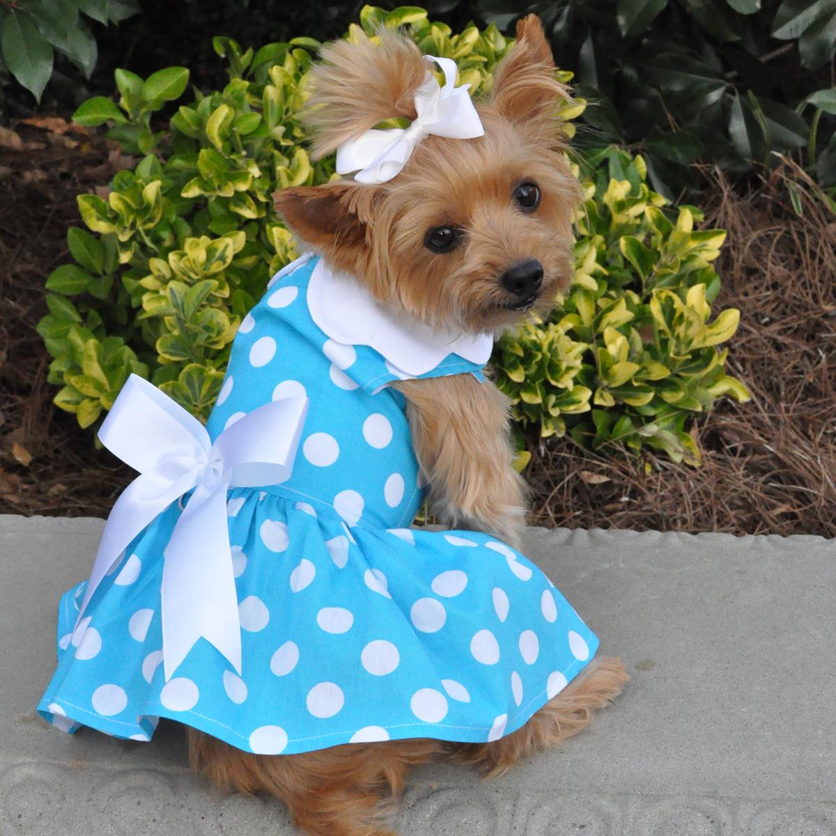 dress for a dog