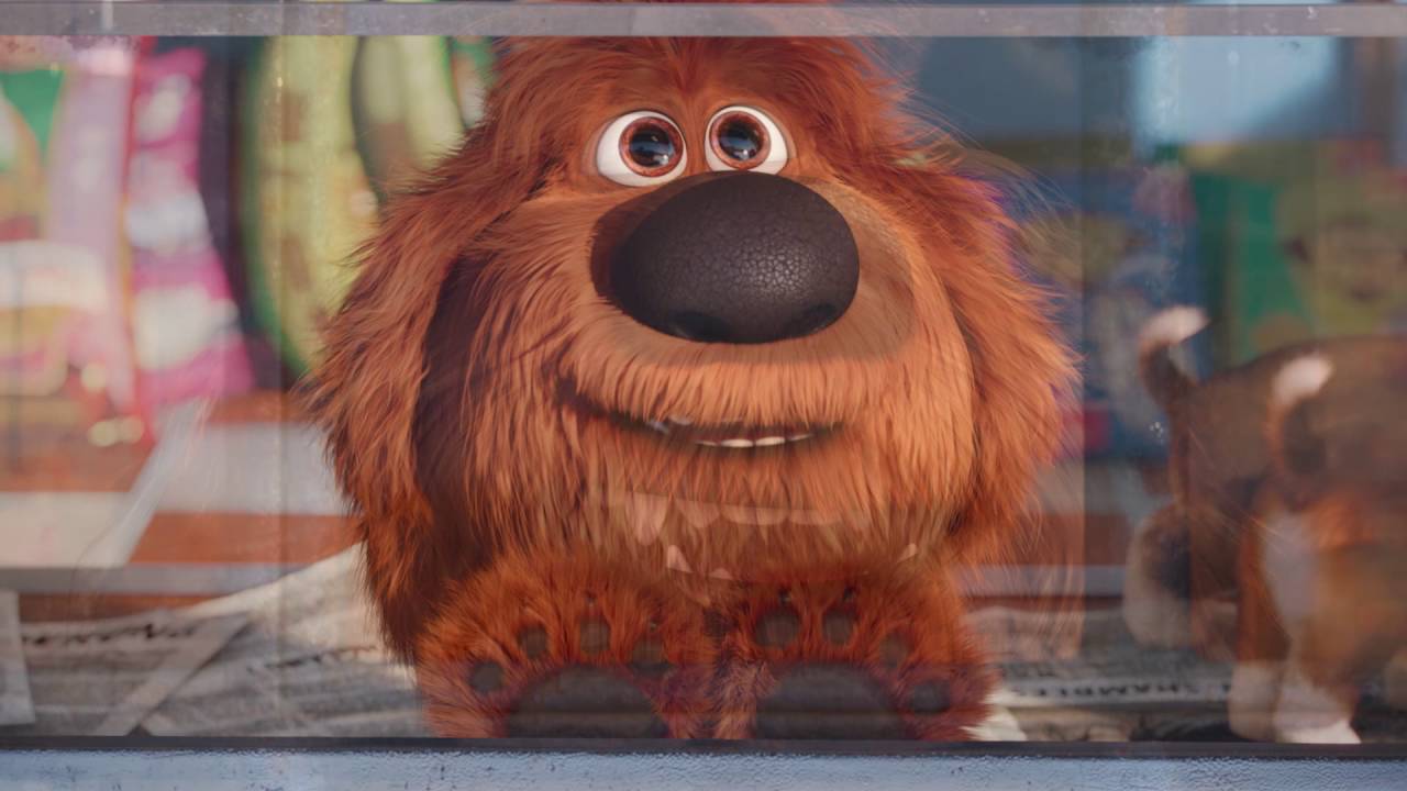 duke secret life of pets