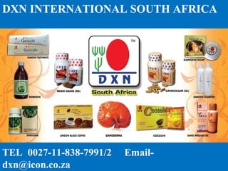 dxn south africa