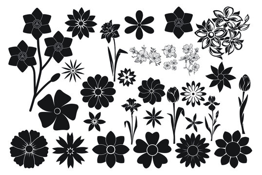 flower vector art