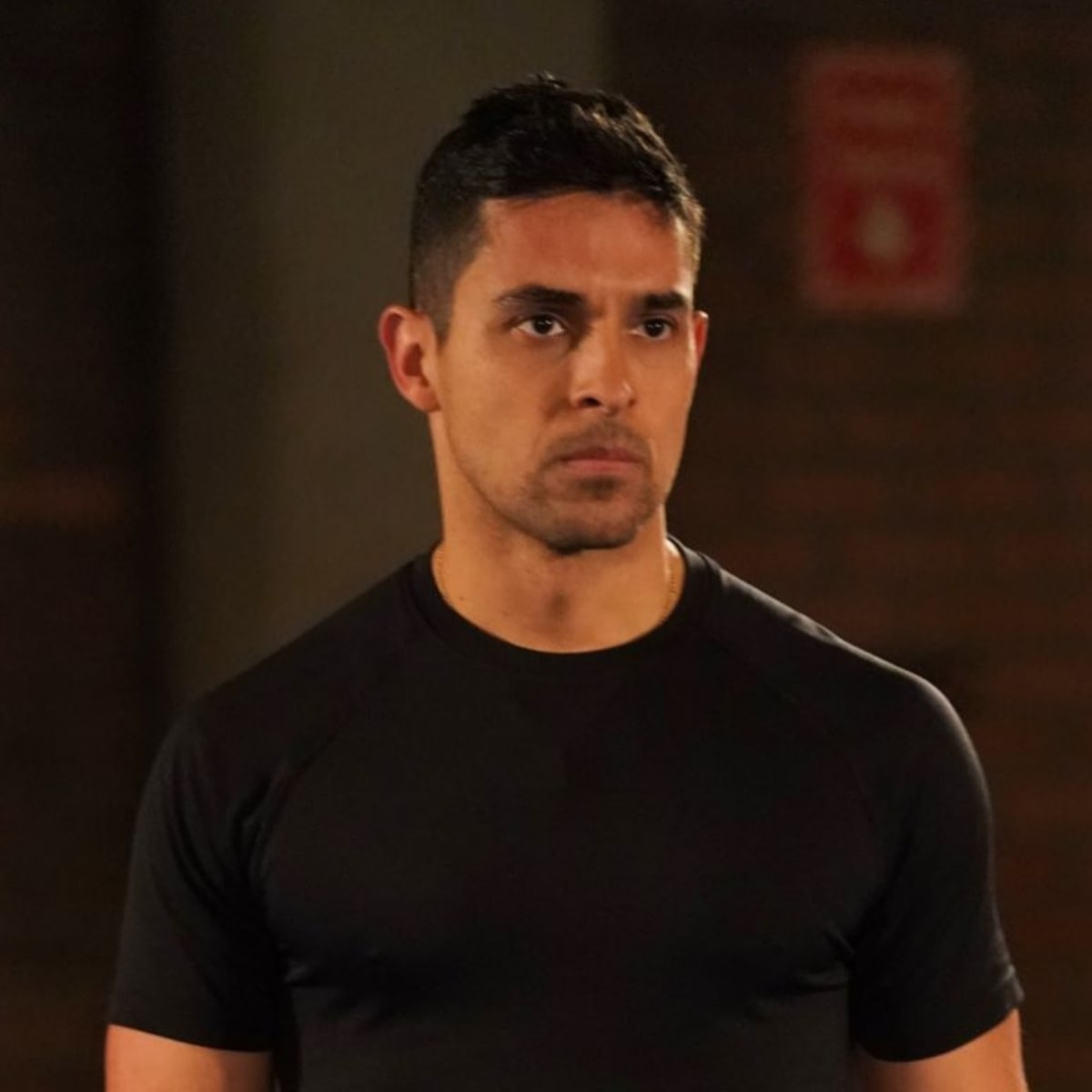 torres in ncis