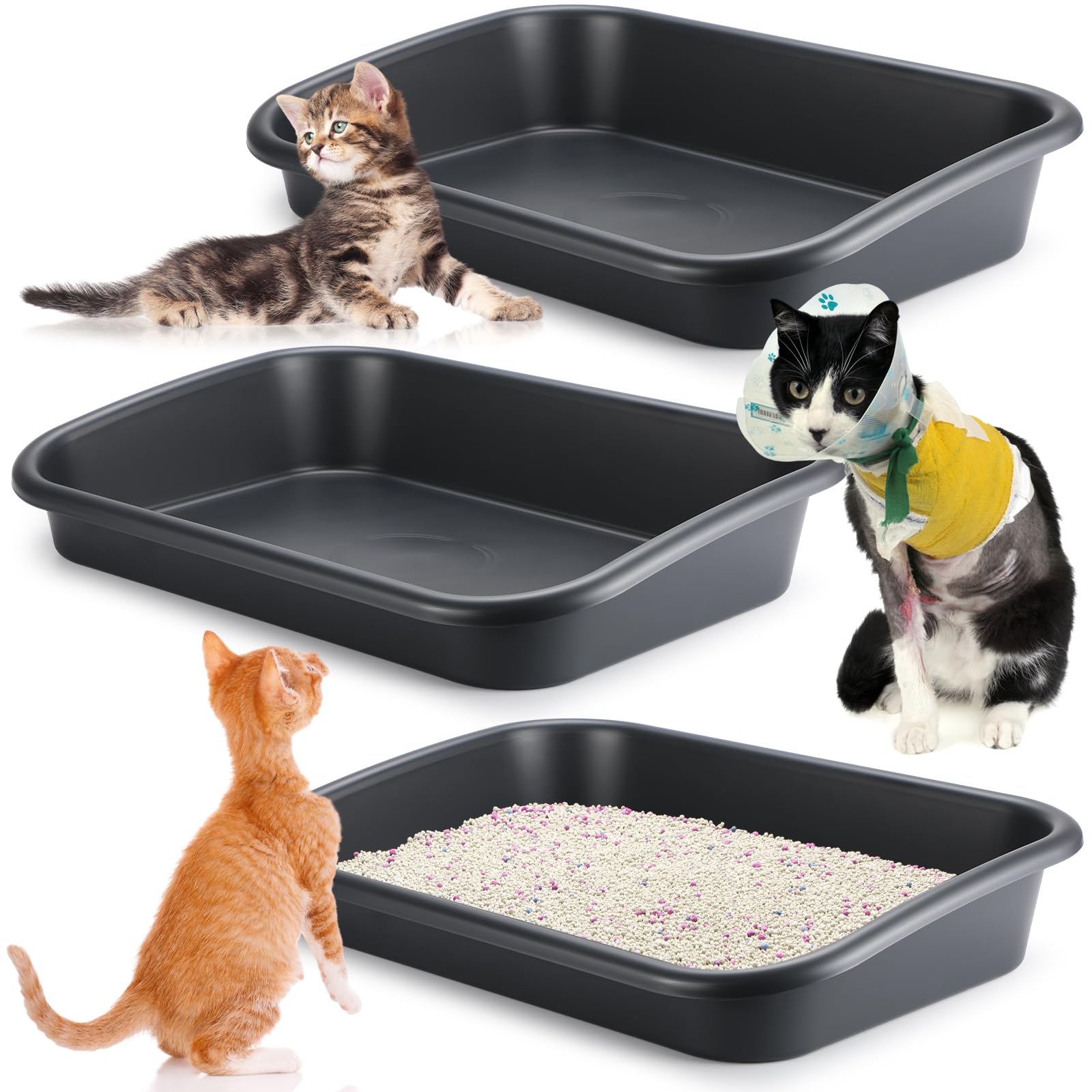 litter box for disabled cats