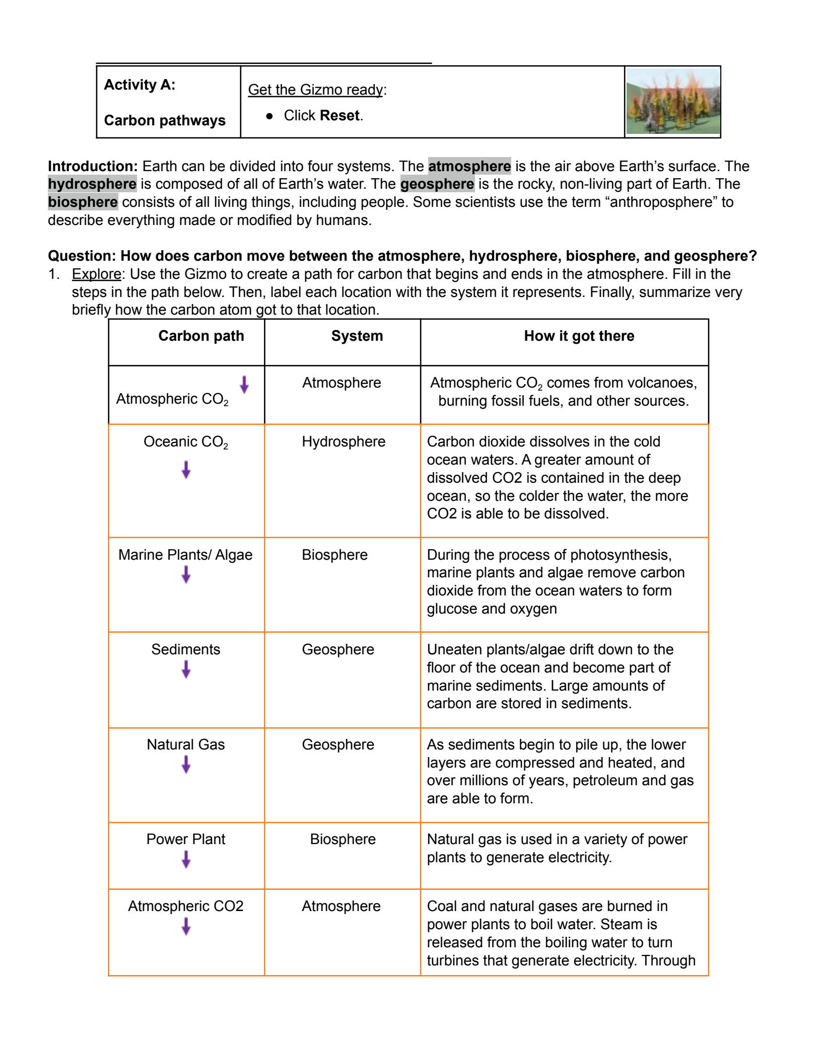 carbon cycle gizmo answers