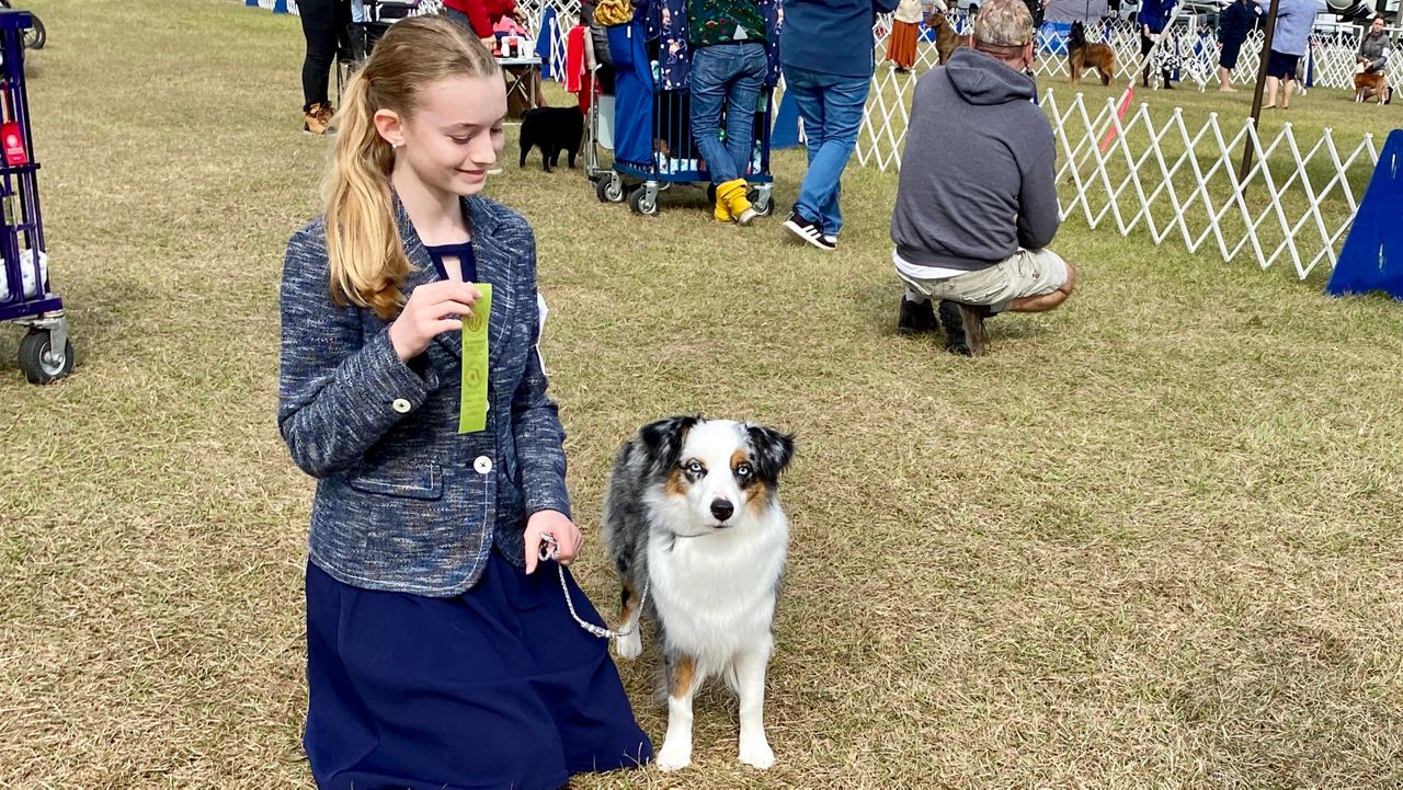 dog show in brooksville