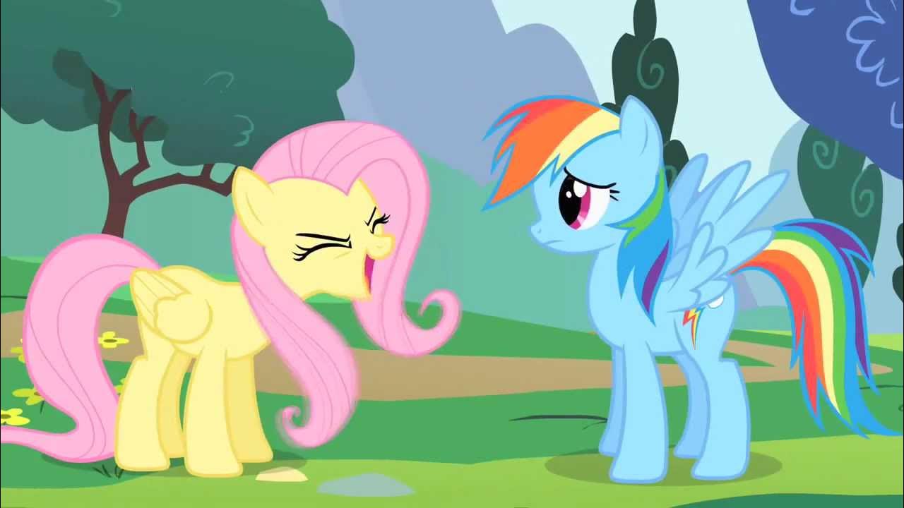 my little pony fluttershy x rainbow dash