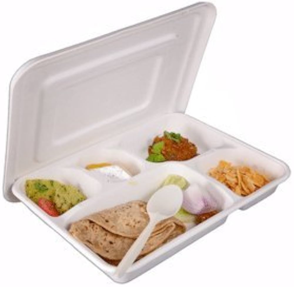 disposable lunch plates