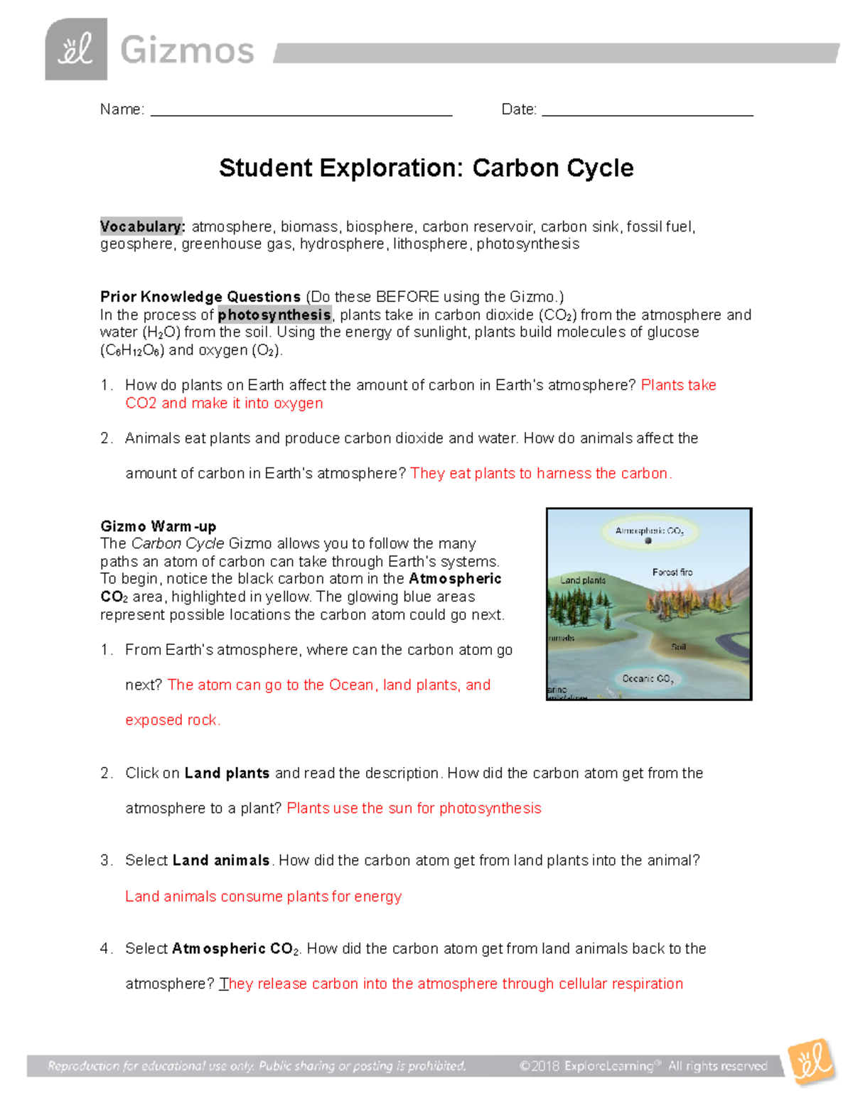 student exploration carbon cycle gizmo answer key pdf