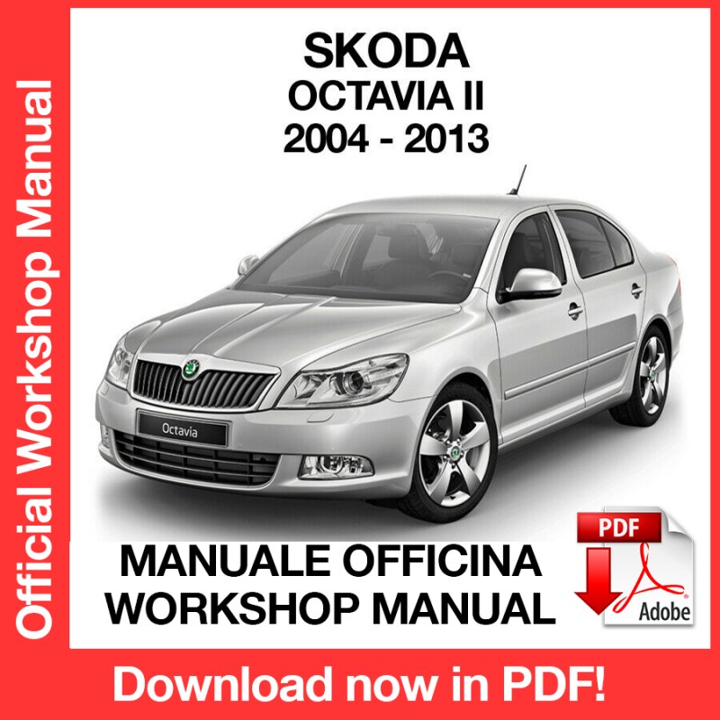 skoda octavia 2004 manual