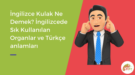 ear türkçe anlamı