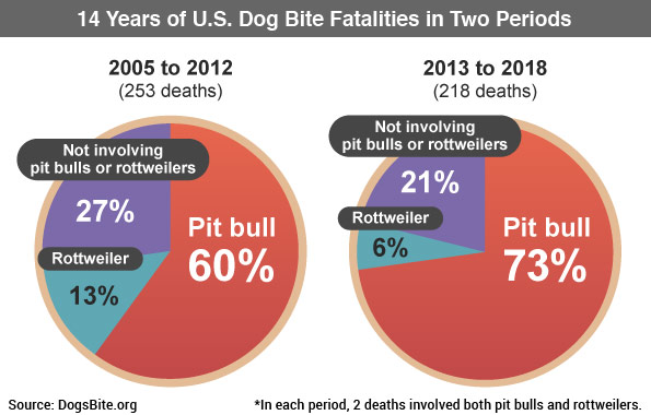 pit bull attack statistics 2018