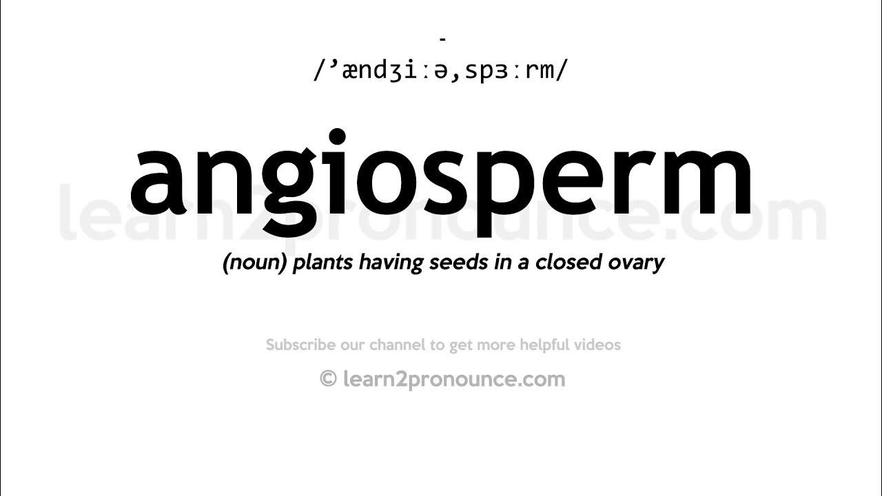 angiosperm pronunciation