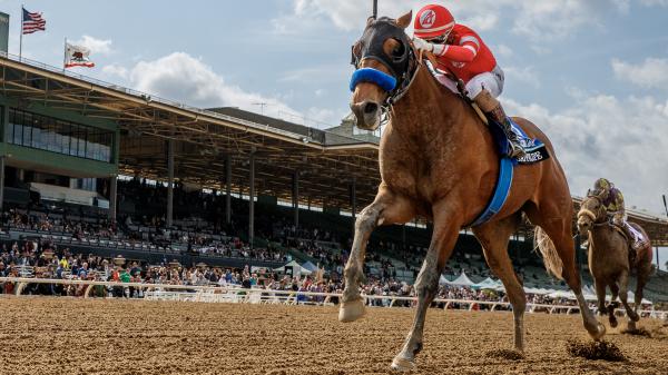 santa anita derby 2023 results