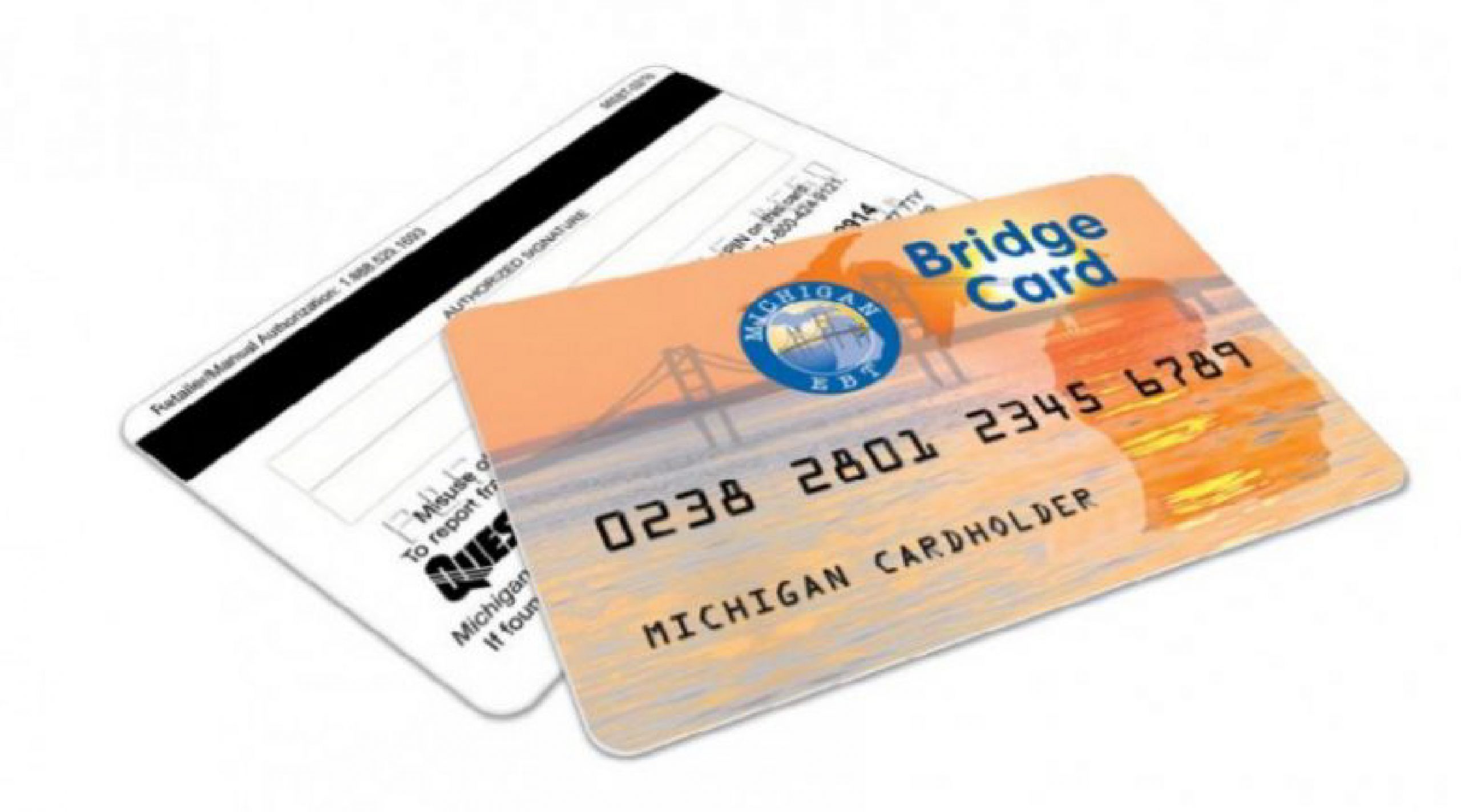 ebt card balance michigan