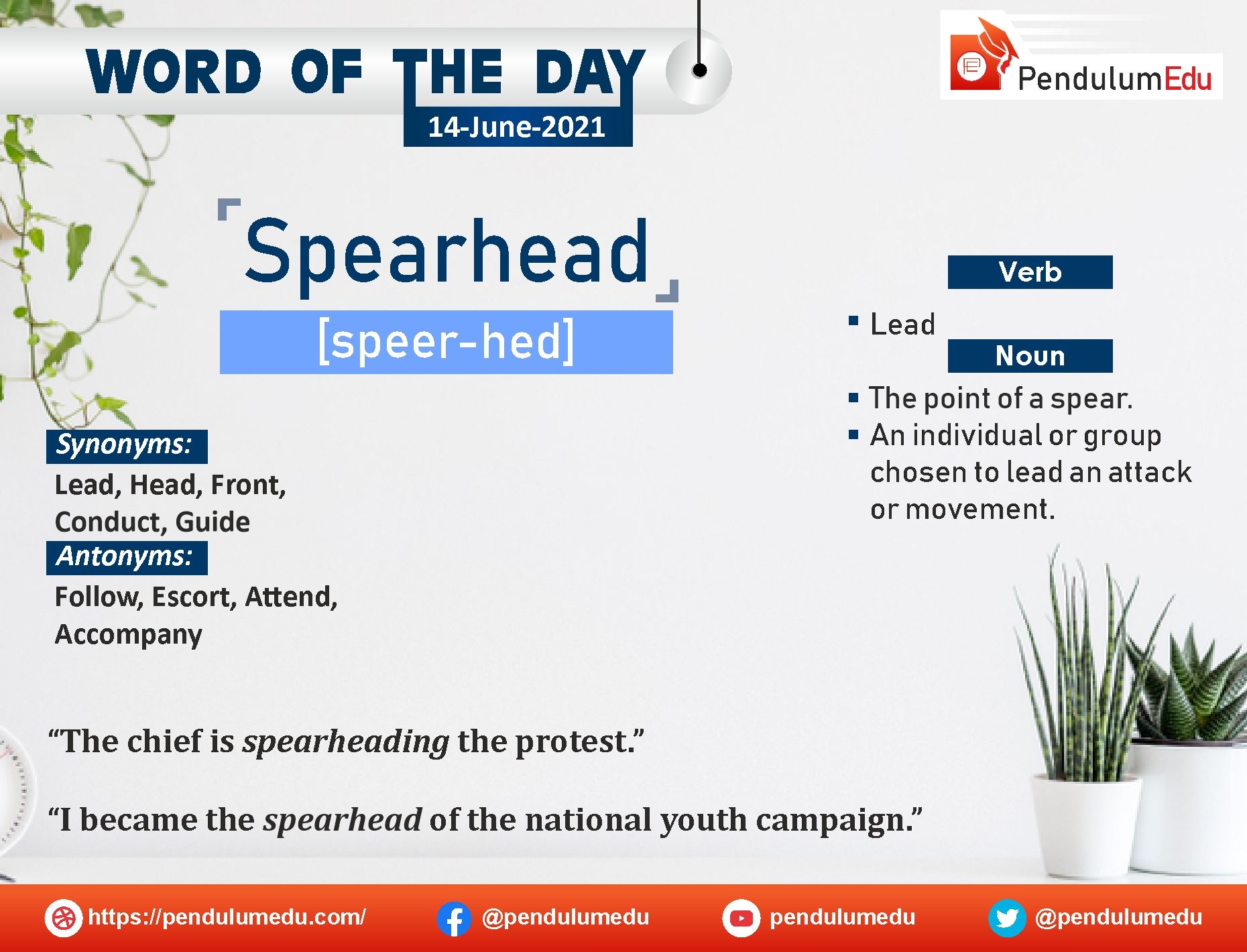 spearheaded synonyms