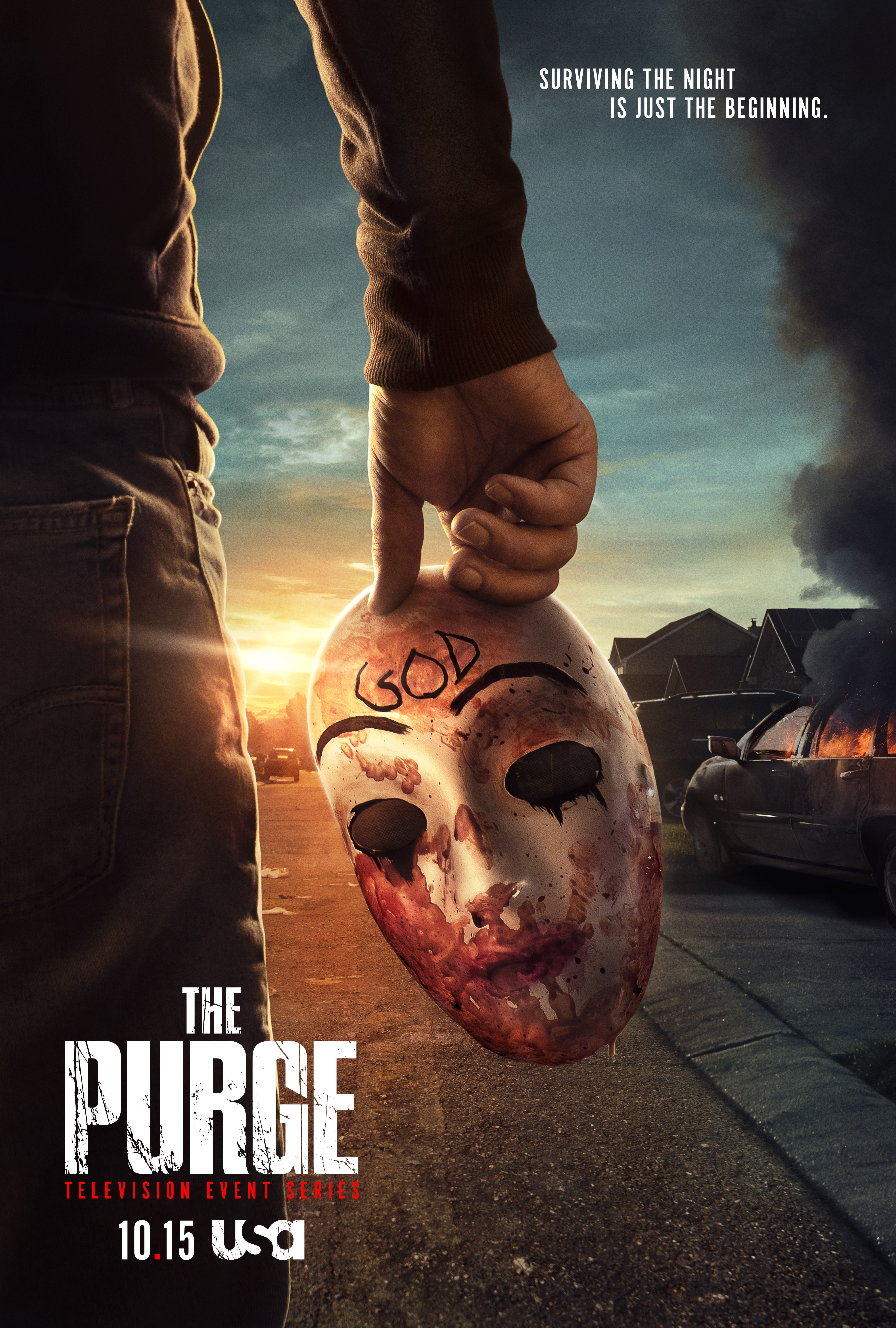 imdb the purge