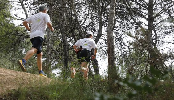 ecotrail valencia 2023