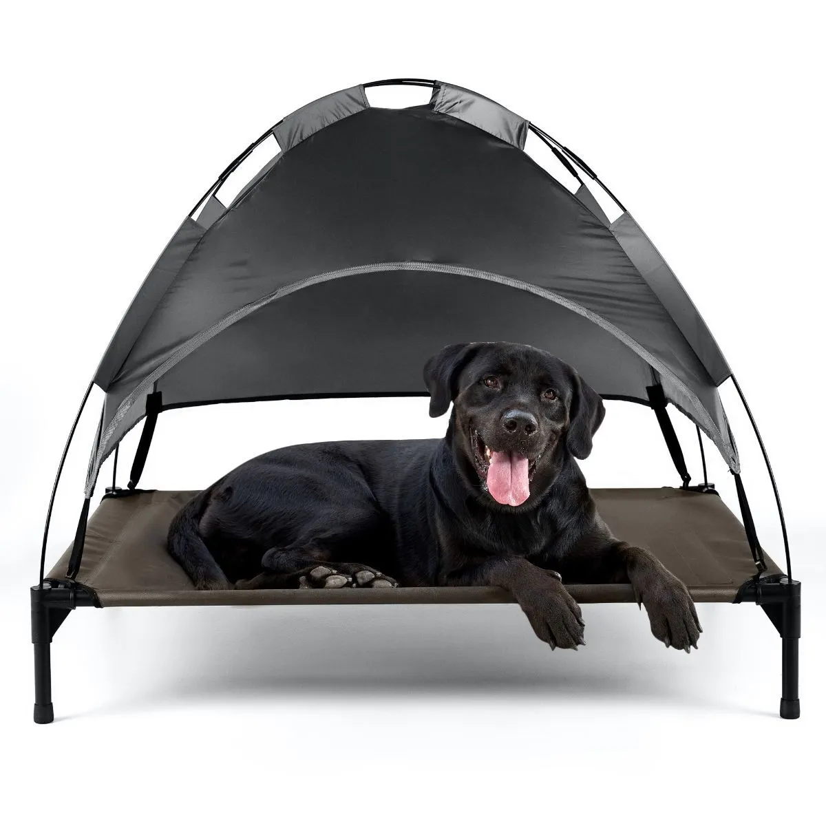dog bed roof