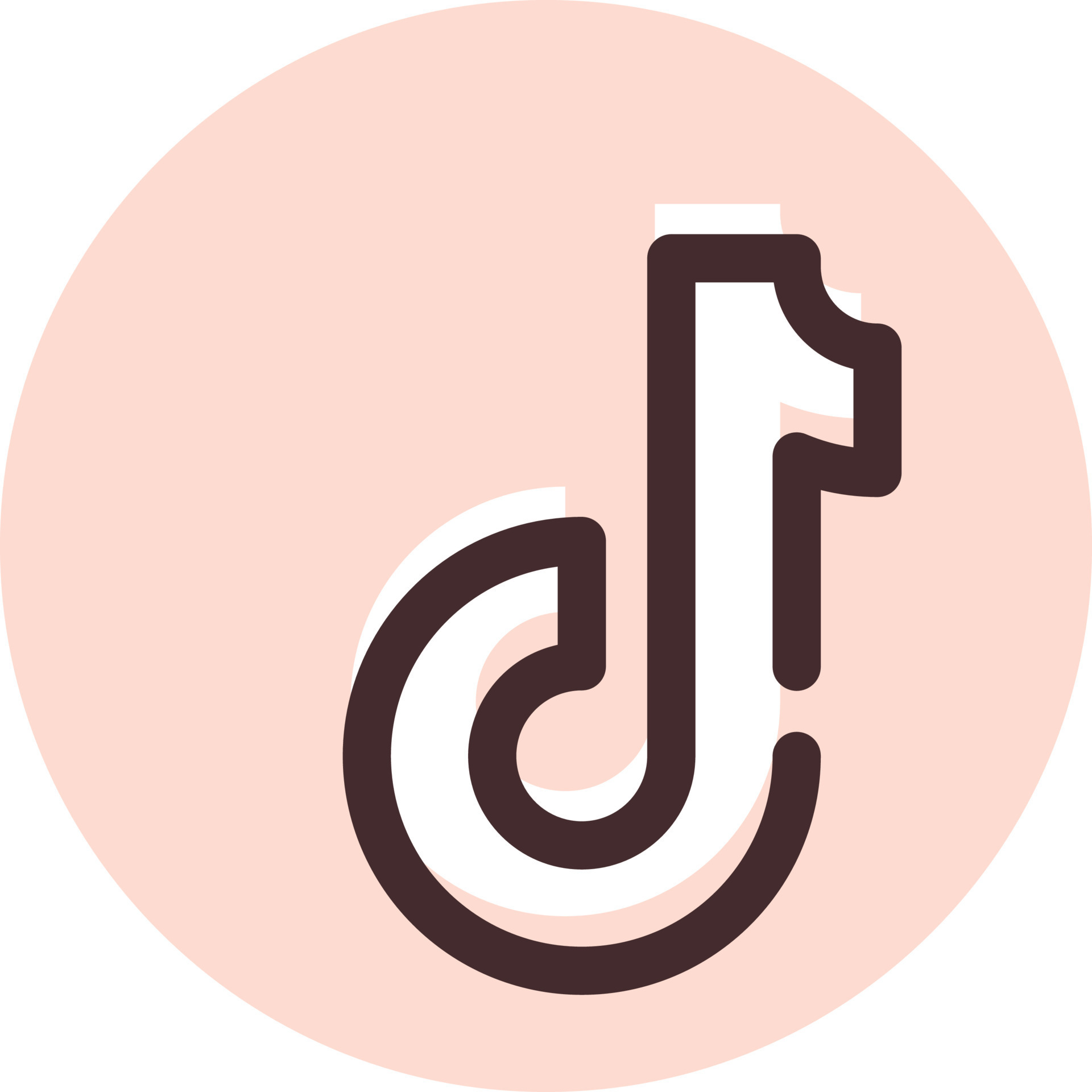 tiktok icon aesthetic