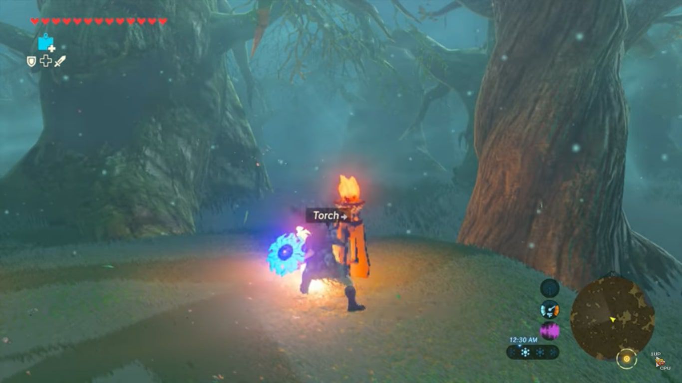 lost forest botw