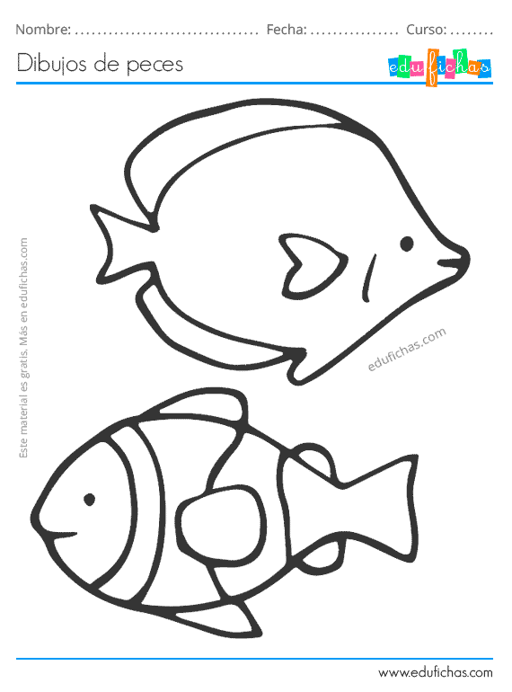 fish dibujo para colorear