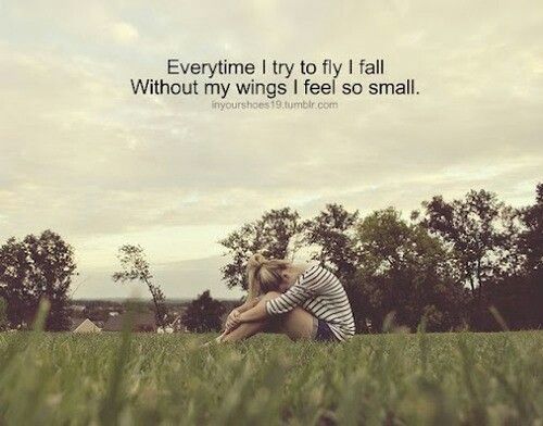everytime i try to fly i fall