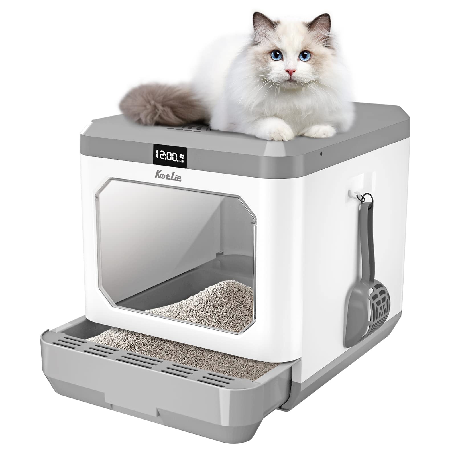 extra large litter box for big cats