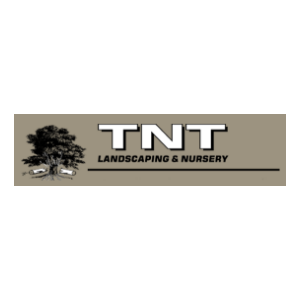 tnt nursery photos