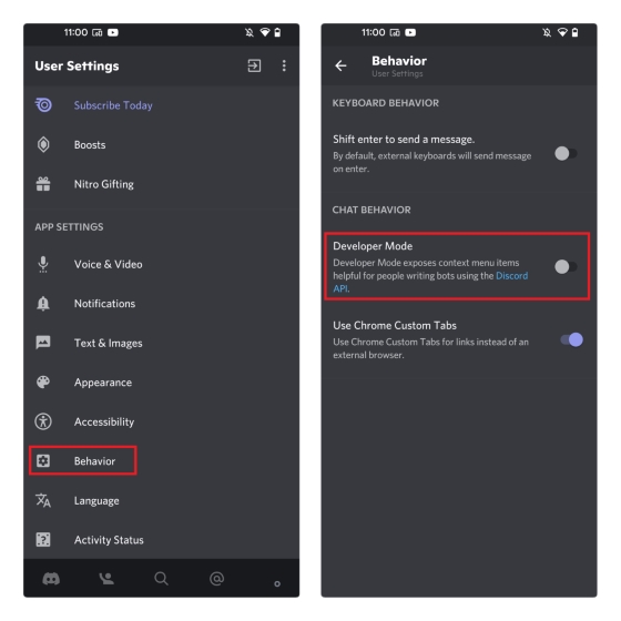 how to turn on developer mode on discord