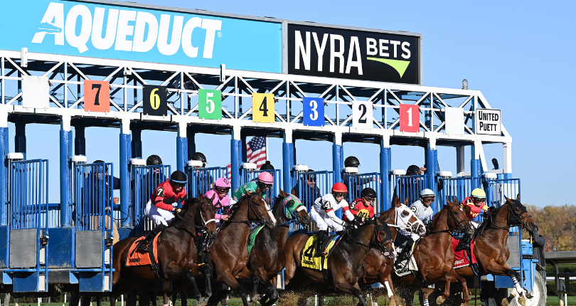 aqueduct racetrack live racing