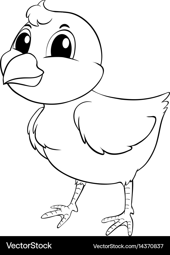 chick outline